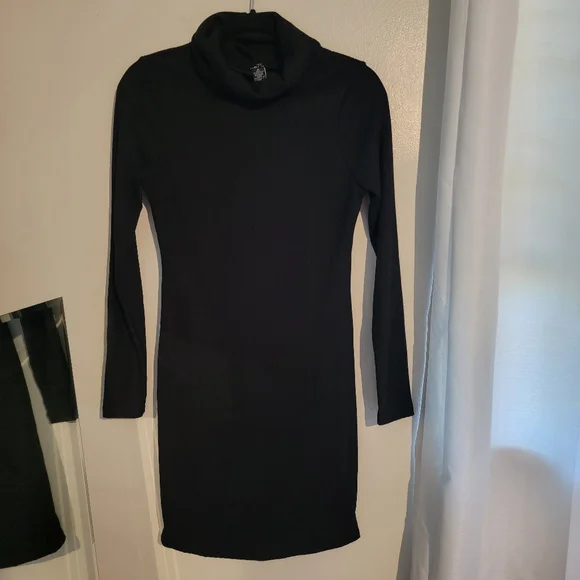 Rue 21 Fitted Sweater Dress